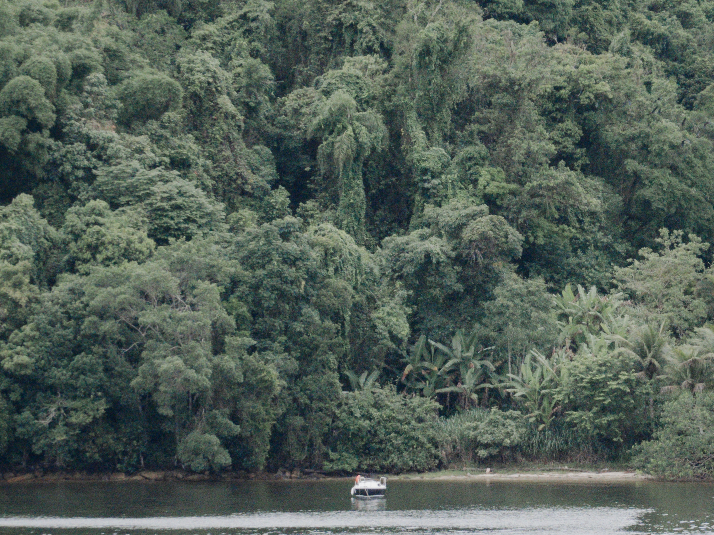 Lush Views, Itapoa, Brazil  - DSC02330.jpeg